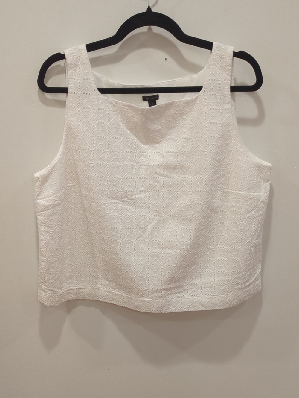 Coastal Preppy Classic Minimal Ann Taylor Square Neck Boxy Crop White Eyelet Top